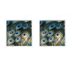 Peacock Feathers Bird Colorful Cufflinks (square)