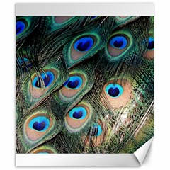 Peacock Feathers Bird Colorful Canvas 20  X 24  by Wegoenart