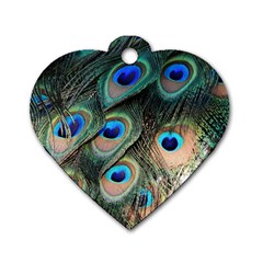 Peacock Feathers Bird Colorful Dog Tag Heart (one Side)