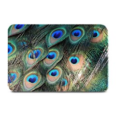 Peacock Feathers Bird Colorful Plate Mats by Wegoenart