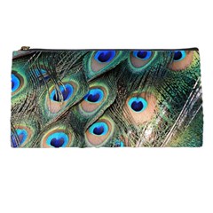 Peacock Feathers Bird Colorful Pencil Cases