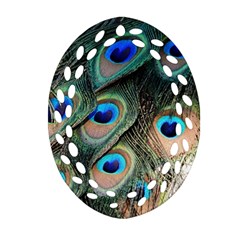 Peacock Feathers Bird Colorful Oval Filigree Ornament (two Sides)