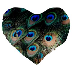 Peacock Feathers Bird Colorful Large 19  Premium Heart Shape Cushions