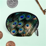 Peacock Feathers Bird Colorful Accessory Pouch (Small) Front