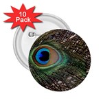 Peacock Tail Feathers 2.25  Buttons (10 pack)  Front