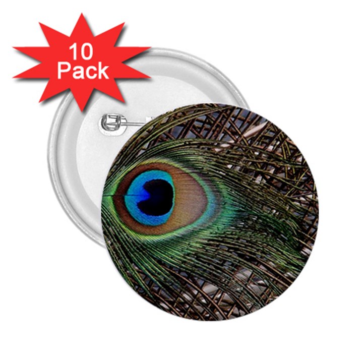 Peacock Tail Feathers 2.25  Buttons (10 pack) 