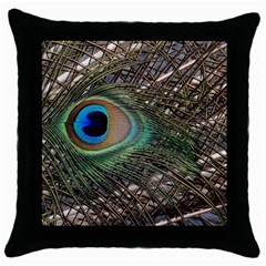 Peacock Tail Feathers Throw Pillow Case (black) by Wegoenart