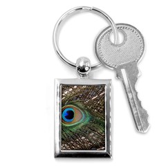 Peacock Tail Feathers Key Chains (rectangle)  by Wegoenart