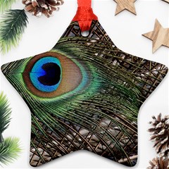 Peacock Tail Feathers Star Ornament (two Sides) by Wegoenart