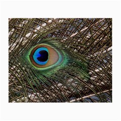 Peacock Tail Feathers Small Glasses Cloth (2-side) by Wegoenart