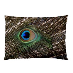 Peacock Tail Feathers Pillow Case by Wegoenart