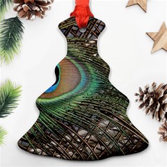 Peacock Tail Feathers Ornament (christmas Tree) 