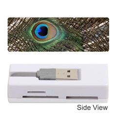 Peacock Tail Feathers Memory Card Reader (stick) by Wegoenart