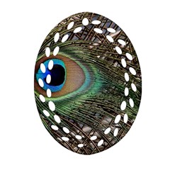 Peacock Tail Feathers Oval Filigree Ornament (two Sides) by Wegoenart