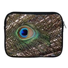 Peacock Tail Feathers Apple Ipad 2/3/4 Zipper Cases by Wegoenart