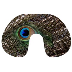 Peacock Tail Feathers Travel Neck Pillows by Wegoenart