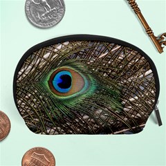 Peacock Tail Feathers Accessory Pouch (large) by Wegoenart