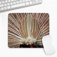 Peacock Wheel Bird Nature Large Mousepads by Wegoenart