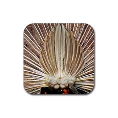 Peacock Wheel Bird Nature Rubber Coaster (square)  by Wegoenart