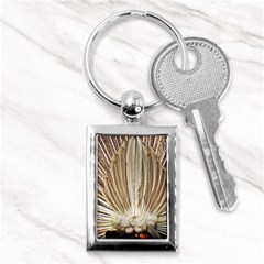 Peacock Wheel Bird Nature Key Chains (rectangle)  by Wegoenart