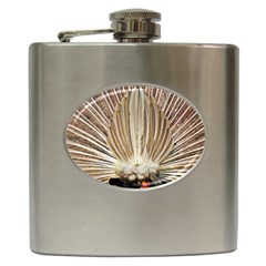 Peacock Wheel Bird Nature Hip Flask (6 Oz) by Wegoenart