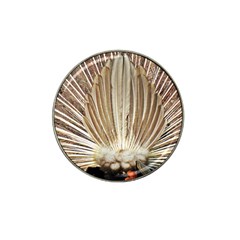 Peacock Wheel Bird Nature Hat Clip Ball Marker (4 Pack) by Wegoenart