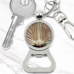 Peacock Wheel Bird Nature Bottle Opener Key Chains by Wegoenart