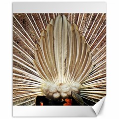 Peacock Wheel Bird Nature Canvas 16  X 20  by Wegoenart