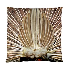 Peacock Wheel Bird Nature Standard Cushion Case (one Side) by Wegoenart