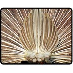 Peacock Wheel Bird Nature Fleece Blanket (Medium)  60 x50  Blanket Front