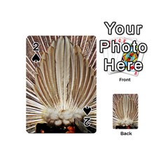 Peacock Wheel Bird Nature Playing Cards 54 (mini) by Wegoenart