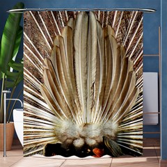 Peacock Wheel Bird Nature Shower Curtain 60  X 72  (medium)  by Wegoenart