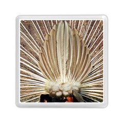 Peacock Wheel Bird Nature Memory Card Reader (square) by Wegoenart