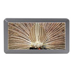 Peacock Wheel Bird Nature Memory Card Reader (mini) by Wegoenart