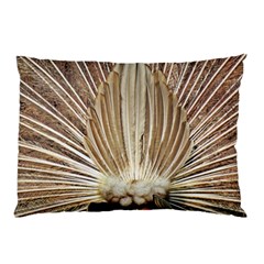 Peacock Wheel Bird Nature Pillow Case (two Sides) by Wegoenart