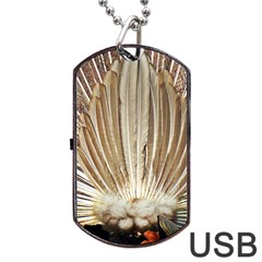 Peacock Wheel Bird Nature Dog Tag Usb Flash (one Side) by Wegoenart