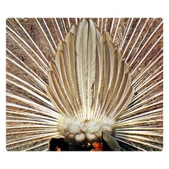 Peacock Wheel Bird Nature Double Sided Flano Blanket (small)  by Wegoenart