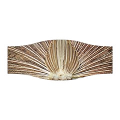 Peacock Wheel Bird Nature Stretchable Headband by Wegoenart