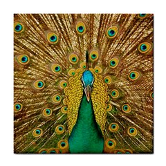 Peacock Feather Bird Peafowl Tile Coasters by Wegoenart