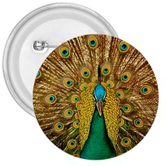 Peacock Feather Bird Peafowl 3  Buttons by Wegoenart