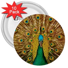 Peacock Feather Bird Peafowl 3  Buttons (10 Pack)  by Wegoenart