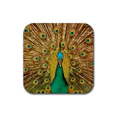 Peacock Feather Bird Peafowl Rubber Coaster (square)  by Wegoenart