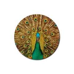 Peacock Feather Bird Peafowl Rubber Round Coaster (4 Pack)  by Wegoenart