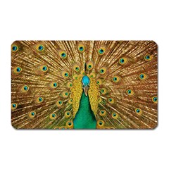 Peacock Feather Bird Peafowl Magnet (rectangular) by Wegoenart