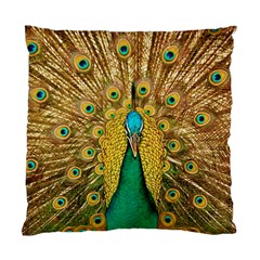 Peacock Feather Bird Peafowl Standard Cushion Case (one Side) by Wegoenart