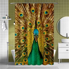 Peacock Feather Bird Peafowl Shower Curtain 48  X 72  (small)  by Wegoenart