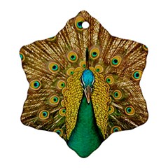 Peacock Feather Bird Peafowl Ornament (snowflake) by Wegoenart