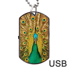 Peacock Feather Bird Peafowl Dog Tag Usb Flash (one Side) by Wegoenart