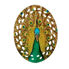 Peacock Feather Bird Peafowl Oval Filigree Ornament (two Sides) by Wegoenart