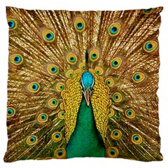 Peacock Feather Bird Peafowl Standard Flano Cushion Case (one Side) by Wegoenart